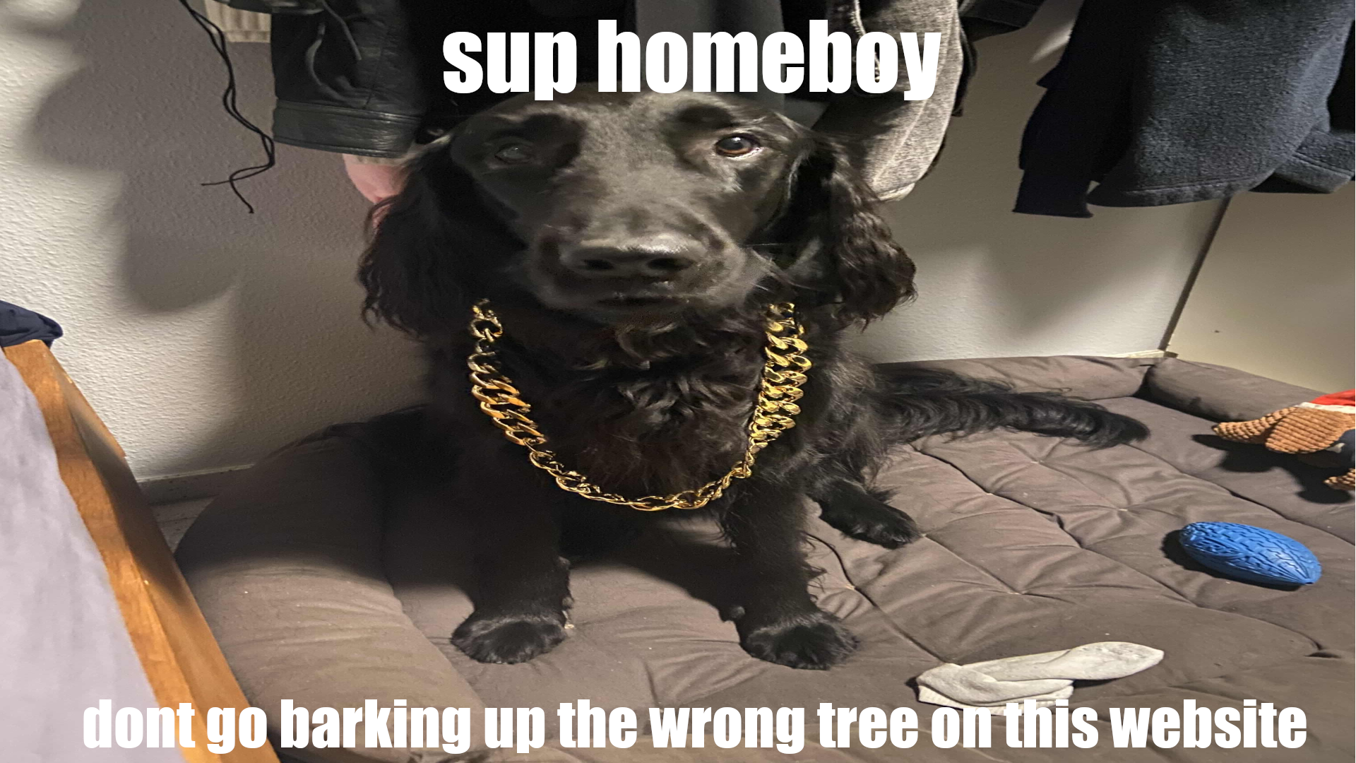 SupHomeboy
